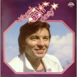 Пластинка Karel Gott Dnes